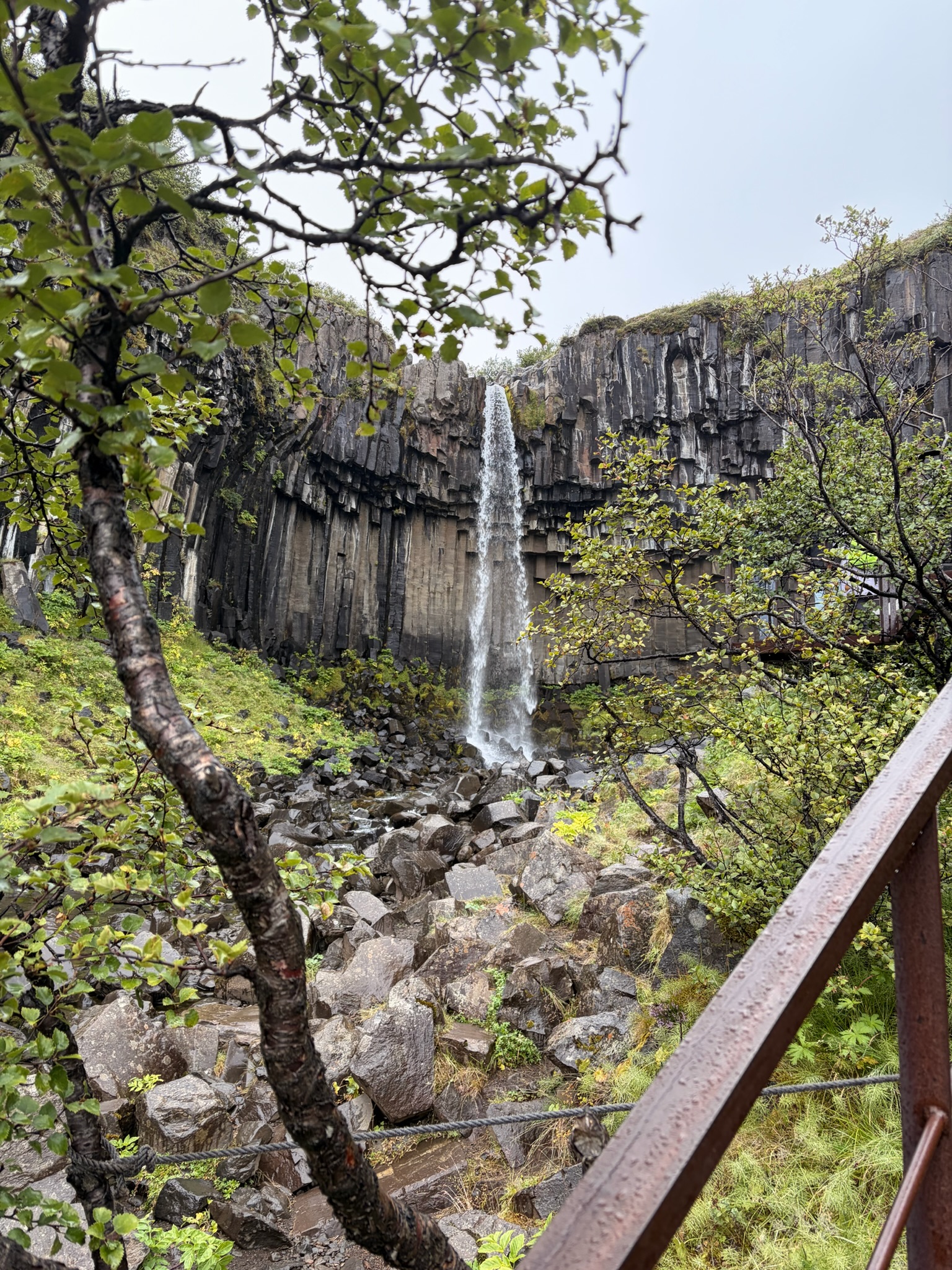 Svartifoss
