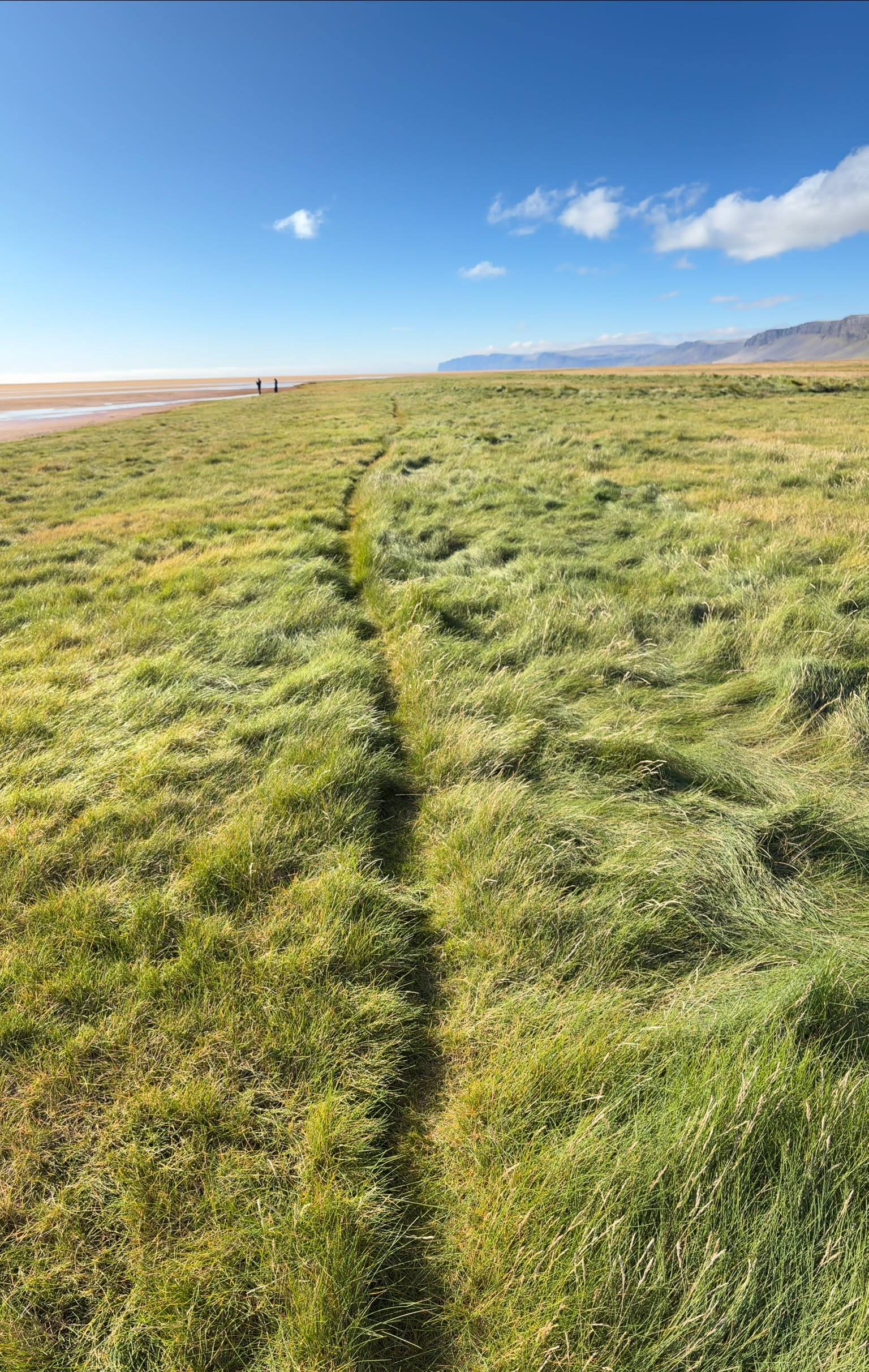 Ernsthaft gemeint: die schönste Wiese mit den saftigsten Grüntönen auf dieser Welt! Klingt lustig, aber man staunt über Gras!